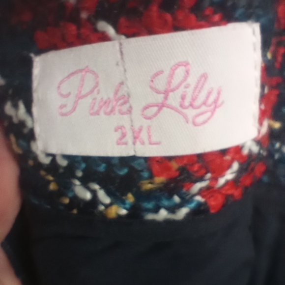 Pink Lily Women's Size 2XL Red Blue Tweed Skirt with Fringe, Lined, Back Zipper - Picture 5 of 7